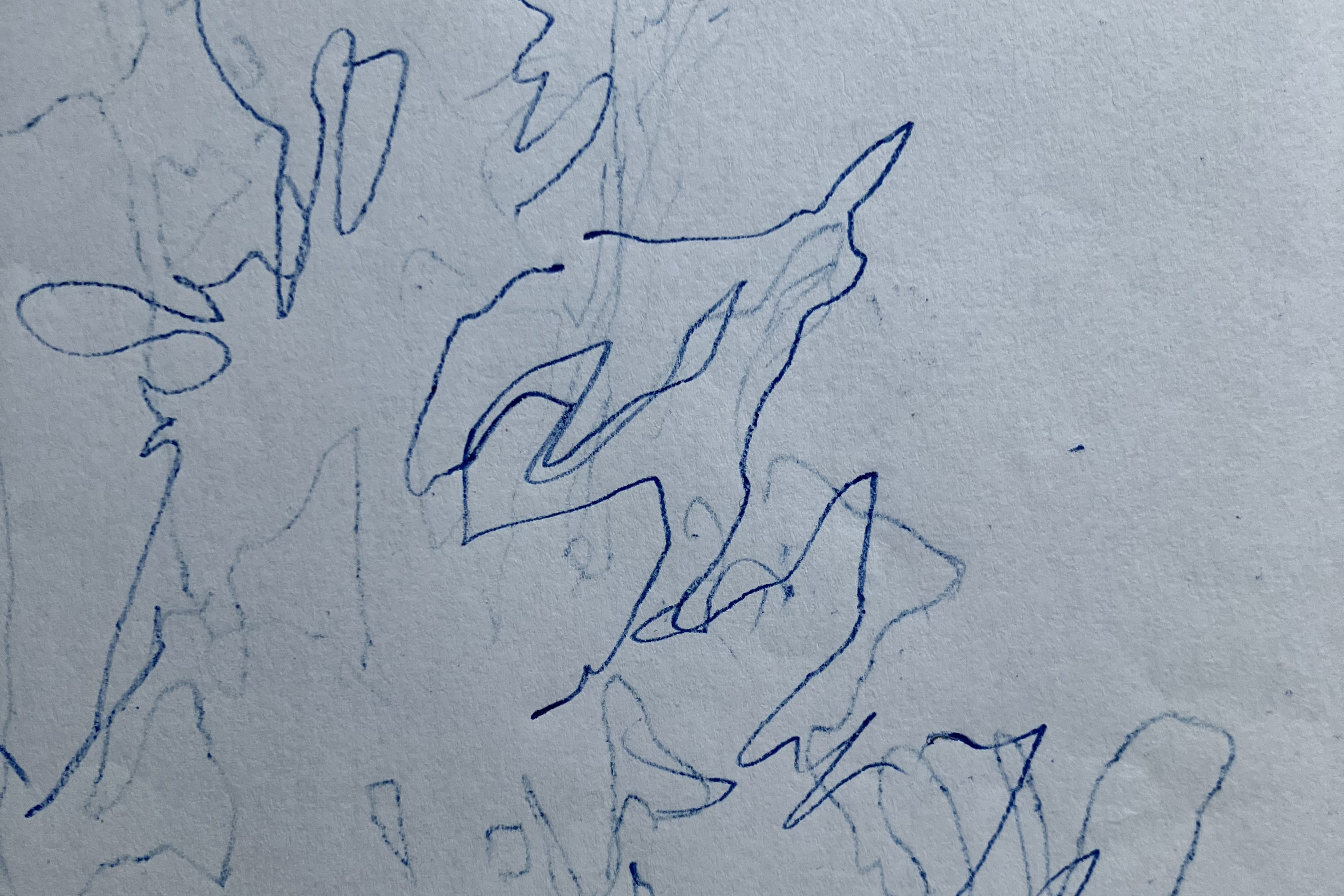 Rupert Enticknap, Shadow Studies